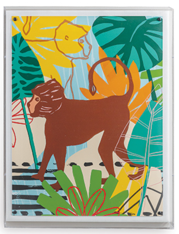 Jungle Monkey