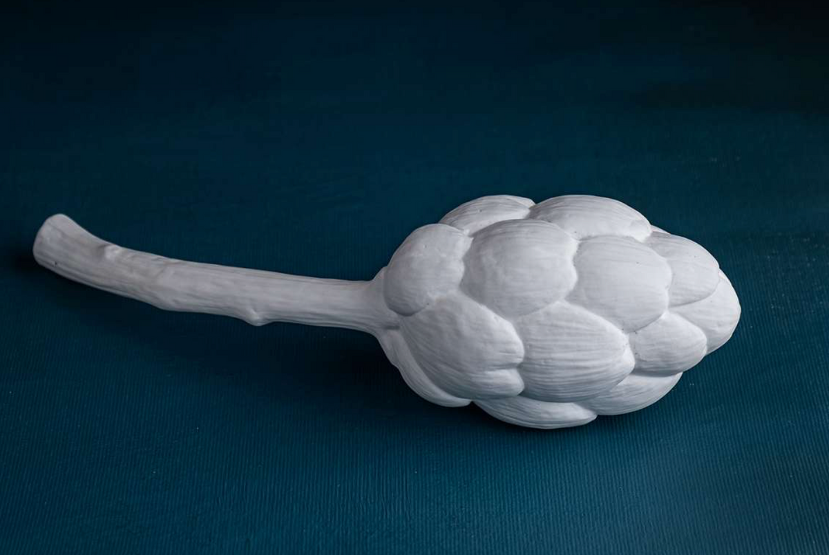 Fructus Artichoke White