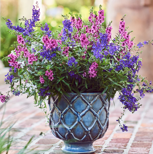 Vinci Criss Cross Planter, French Blue, Small