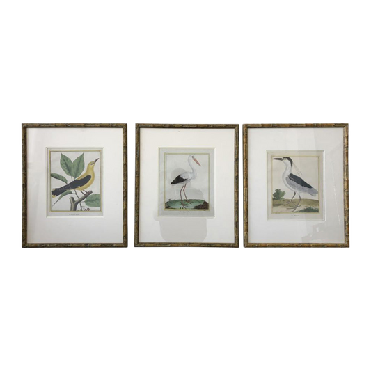 Bamboo Francois Nicholas Martinet Bird Prints